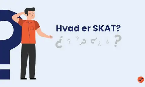 Hvad er skat