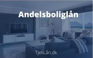 Andelsboliglån